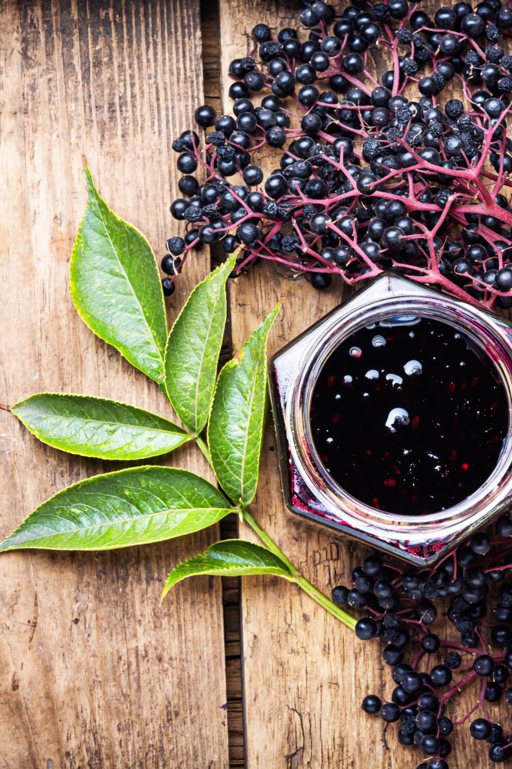 10 Ways To Add Elderberry Syrup to Your Meals
