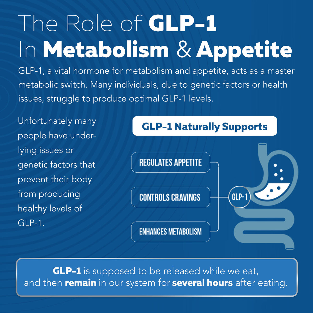 GLP-Activate: Natural GLP-1 Support*
