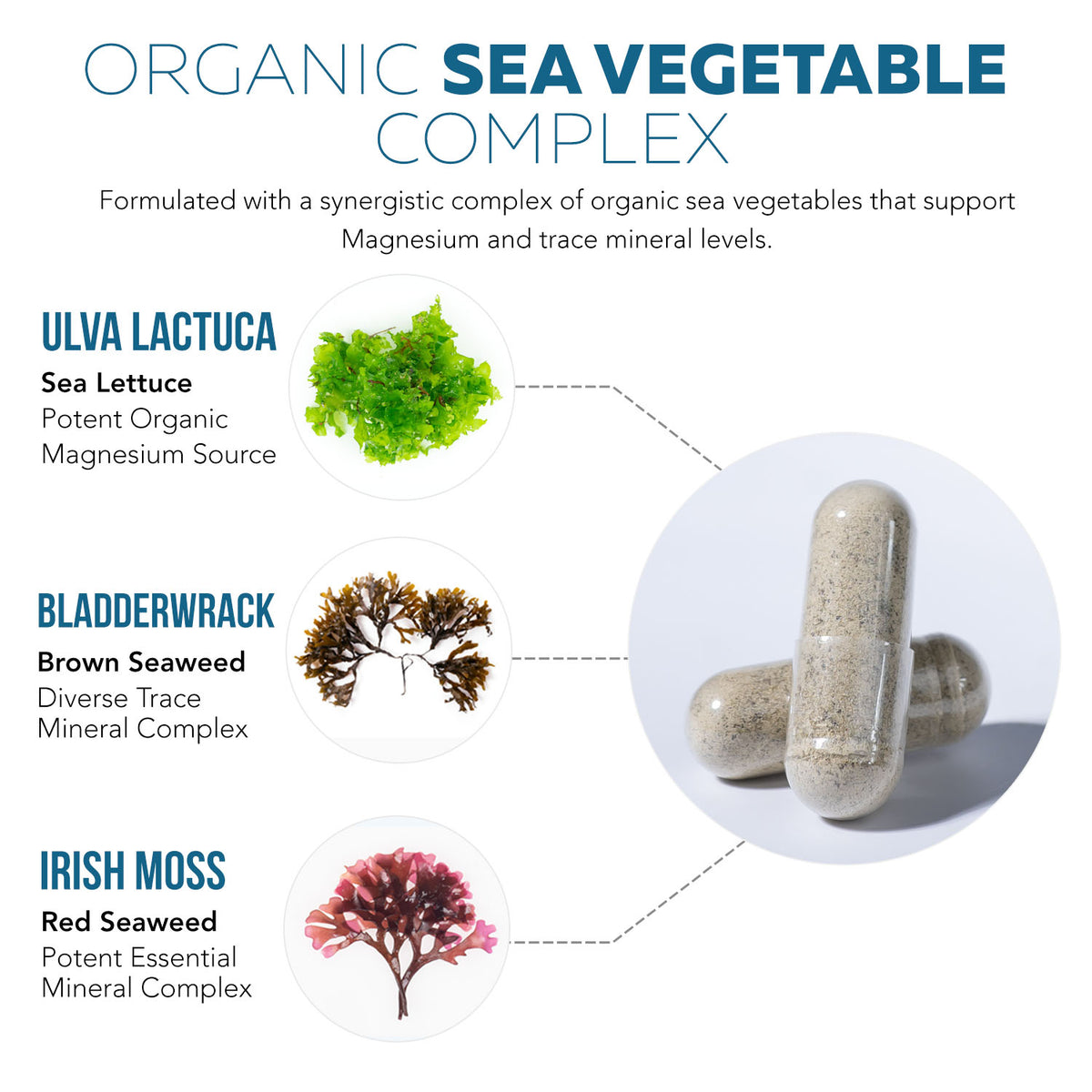 Plant Magnesium: Organic, Whole Food Magnesium Supplement