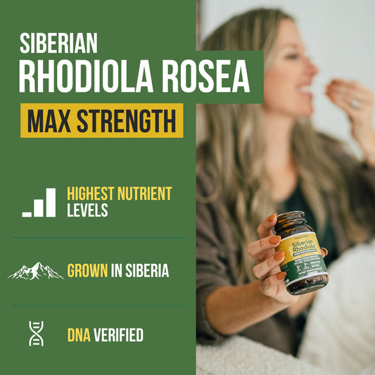 Siberian Rhodiola (Rhodiola Rosea Extract)