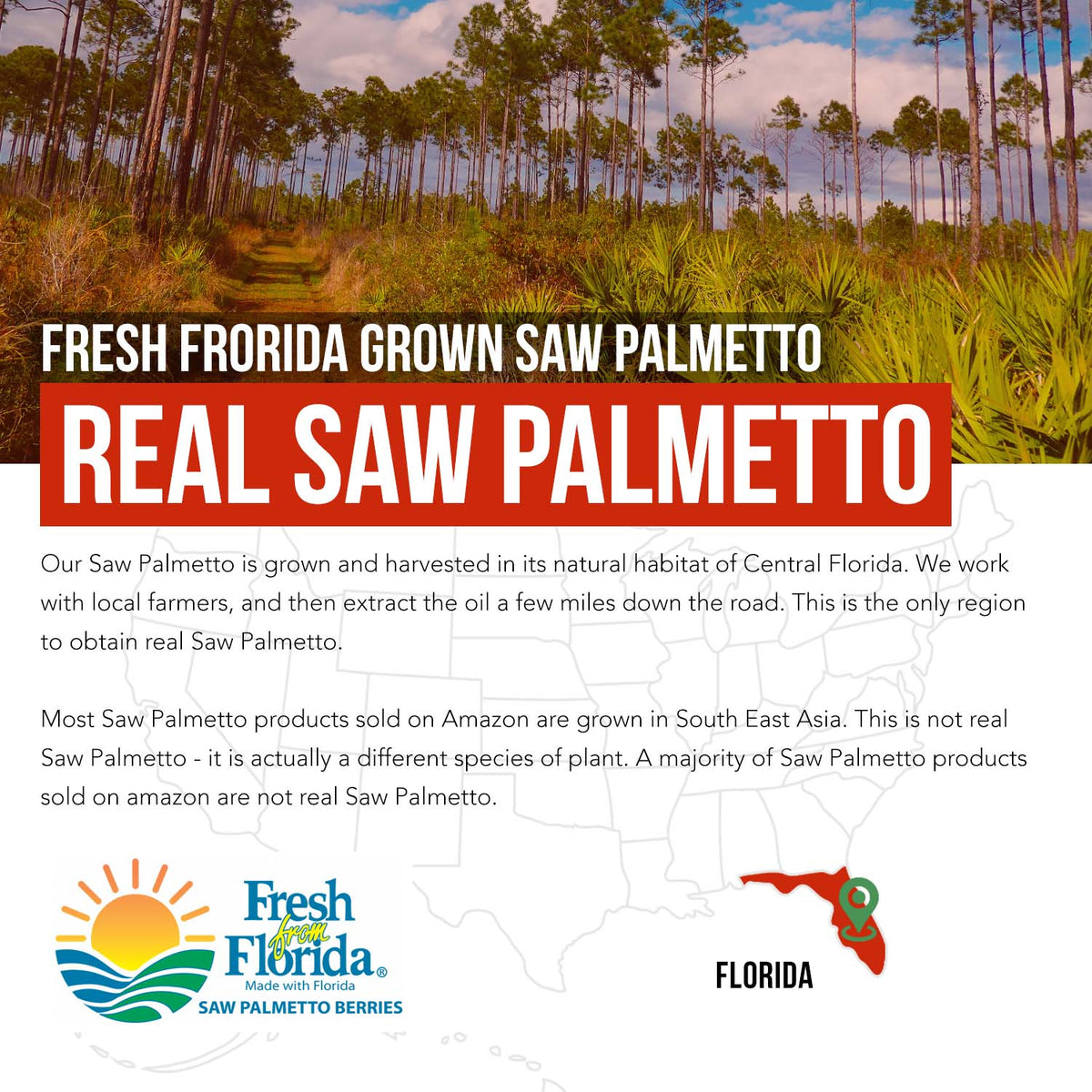 Saw Palmetto Extract with Pumpkin Seed Oil