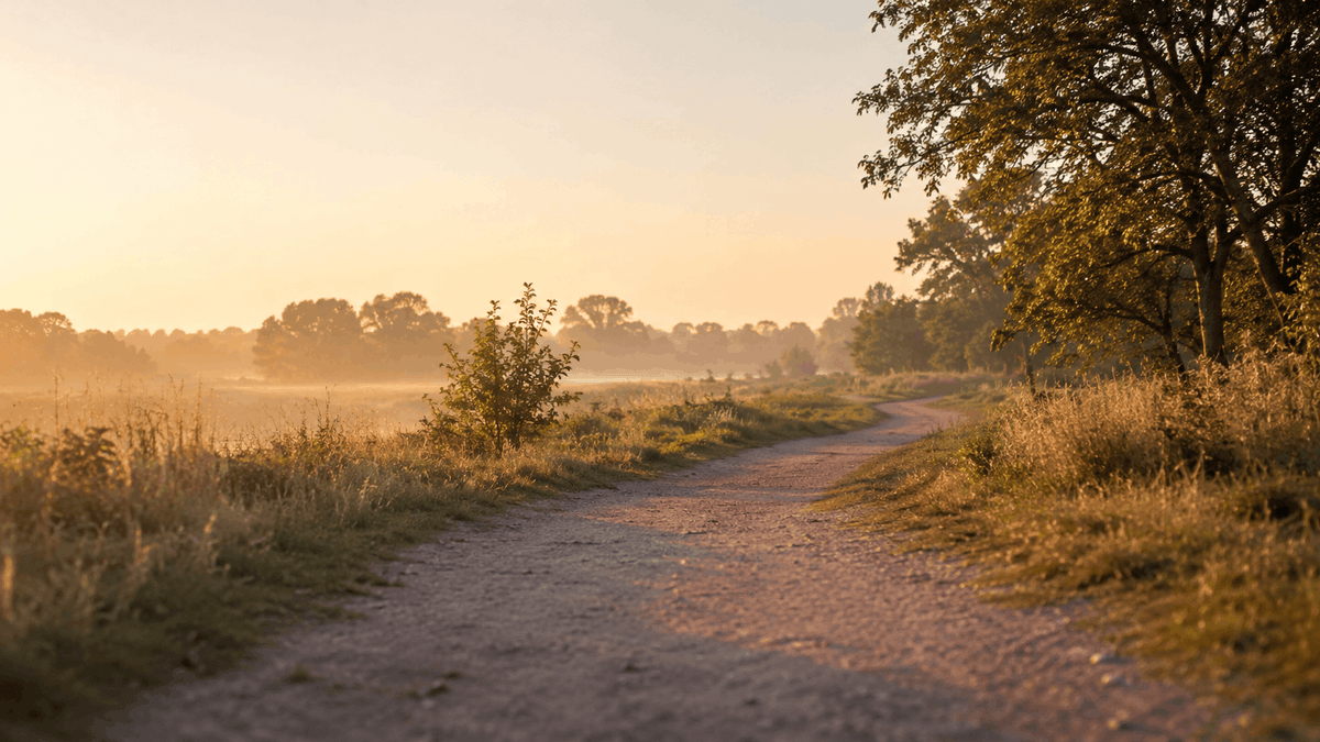 Sunlit dirt trail winding through a golden-hour meadow, symbolizing sustained everyday energy