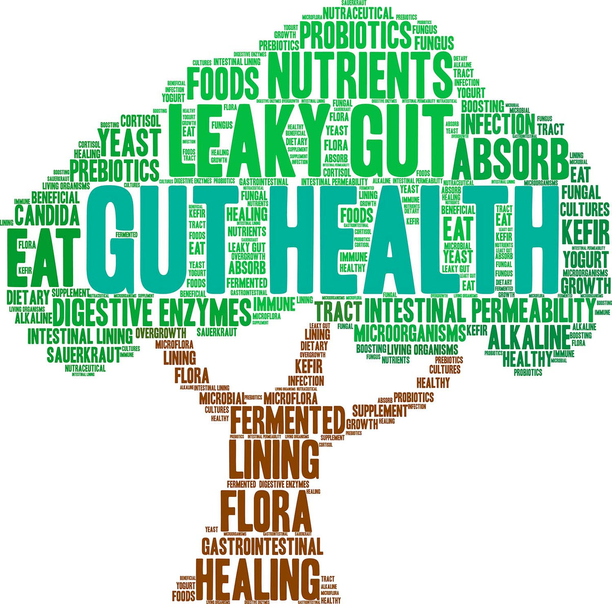 5 Most Common Digestive Health Issues and Natural Solutions