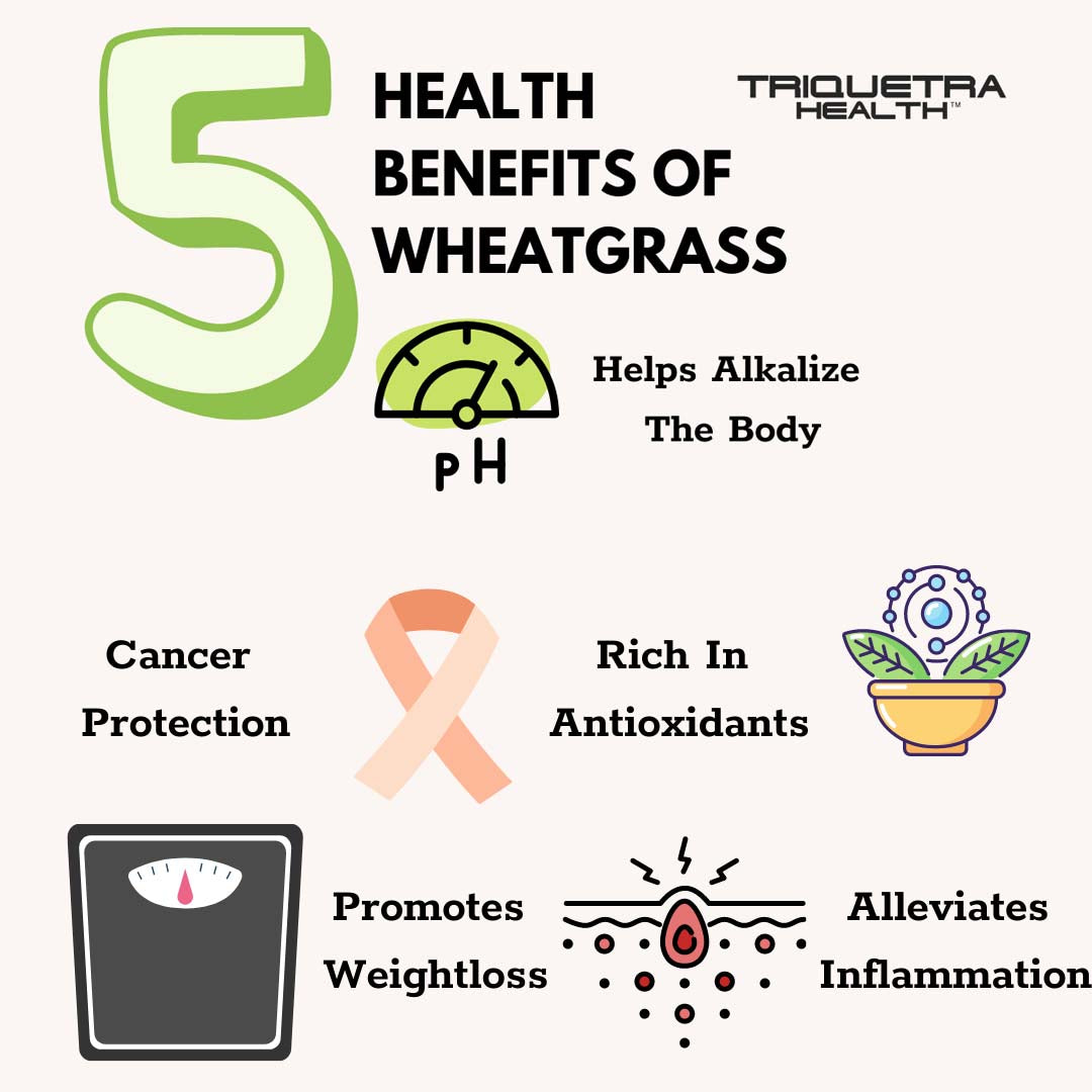 The 5 Benefits of Wheatgrass