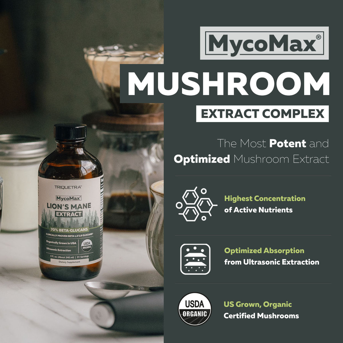 MycoMax Lion&#39;s Mane Extract - 70% Beta Glucans