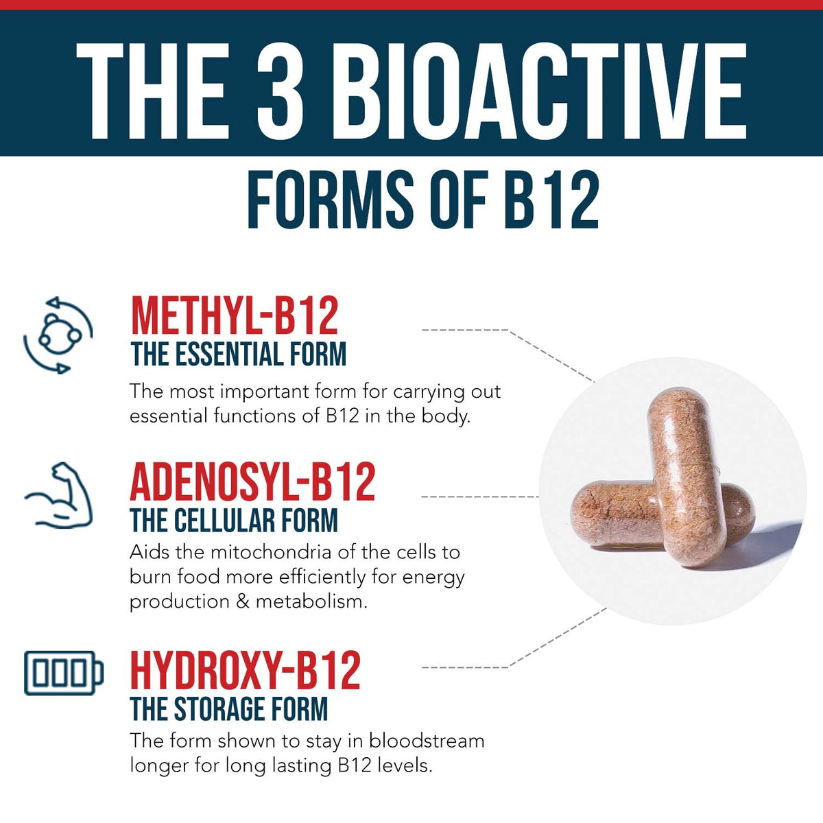 BioActive B12 (1000 mcg): Vitamin B12 Plus L-Methylfolate