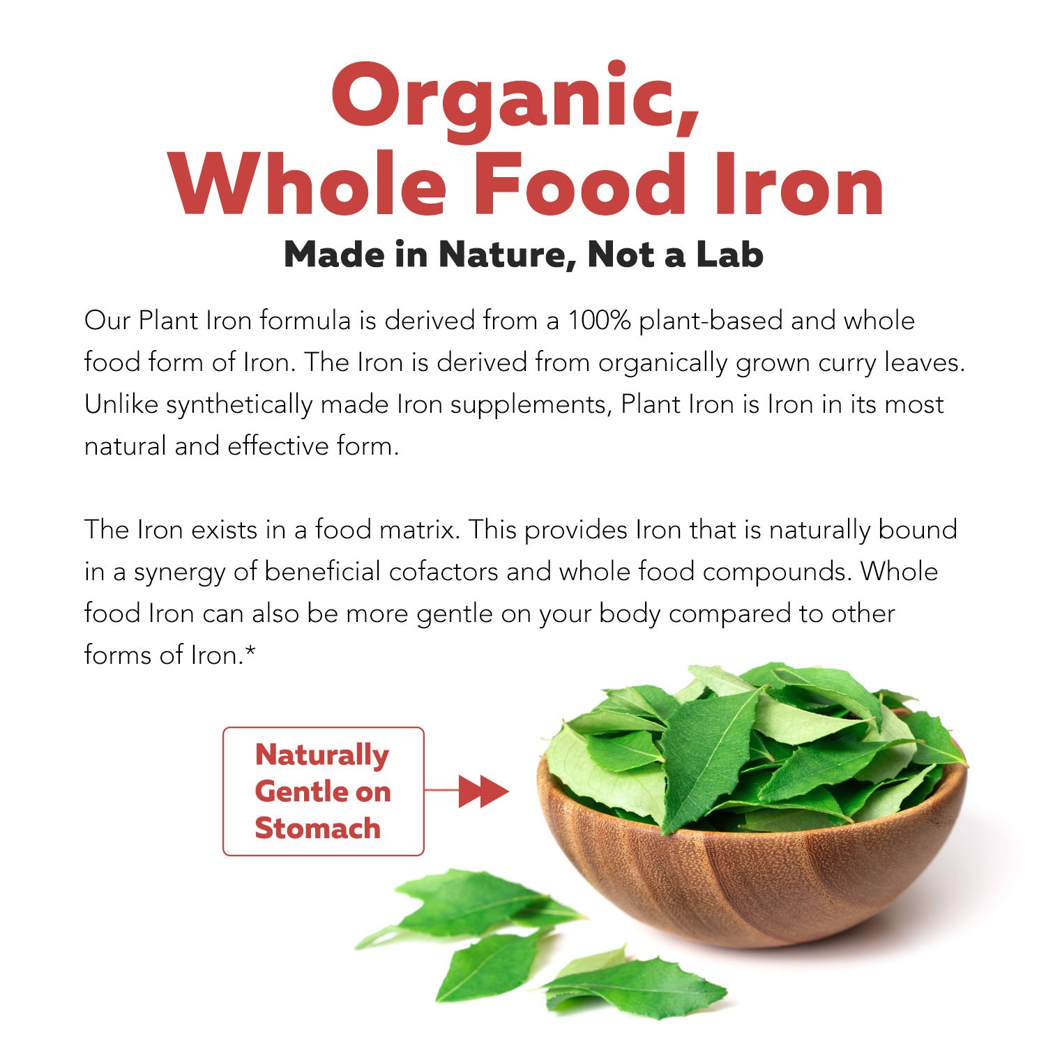 Organic Iron | Whole Food Iron Supplement & Cofactors