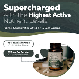 MycoMax Lion's Mane Extract Capsules - 70% Beta Glucans