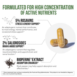 Siberian Rhodiola (Rhodiola Rosea Extract)