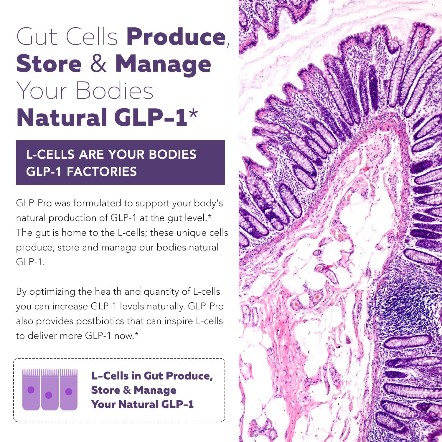 GLP-Pro | GLP-1 Probiotic & Postbiotic*