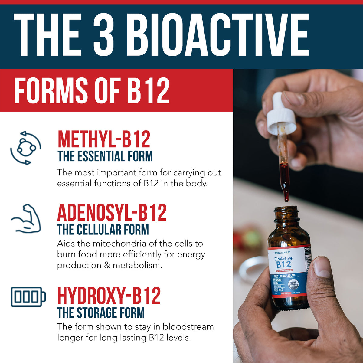 BioActive B12 (1000 mcg) Liquid: Vitamin B12 Plus L-Methylfolate
