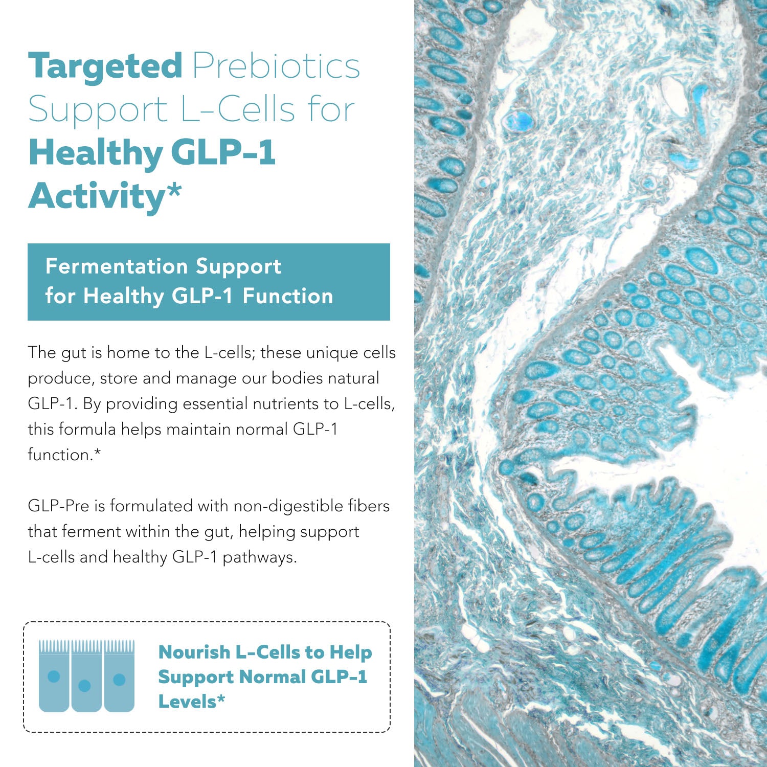 GLP-Pre: GLP-1 Prebiotic Fiber Complex*