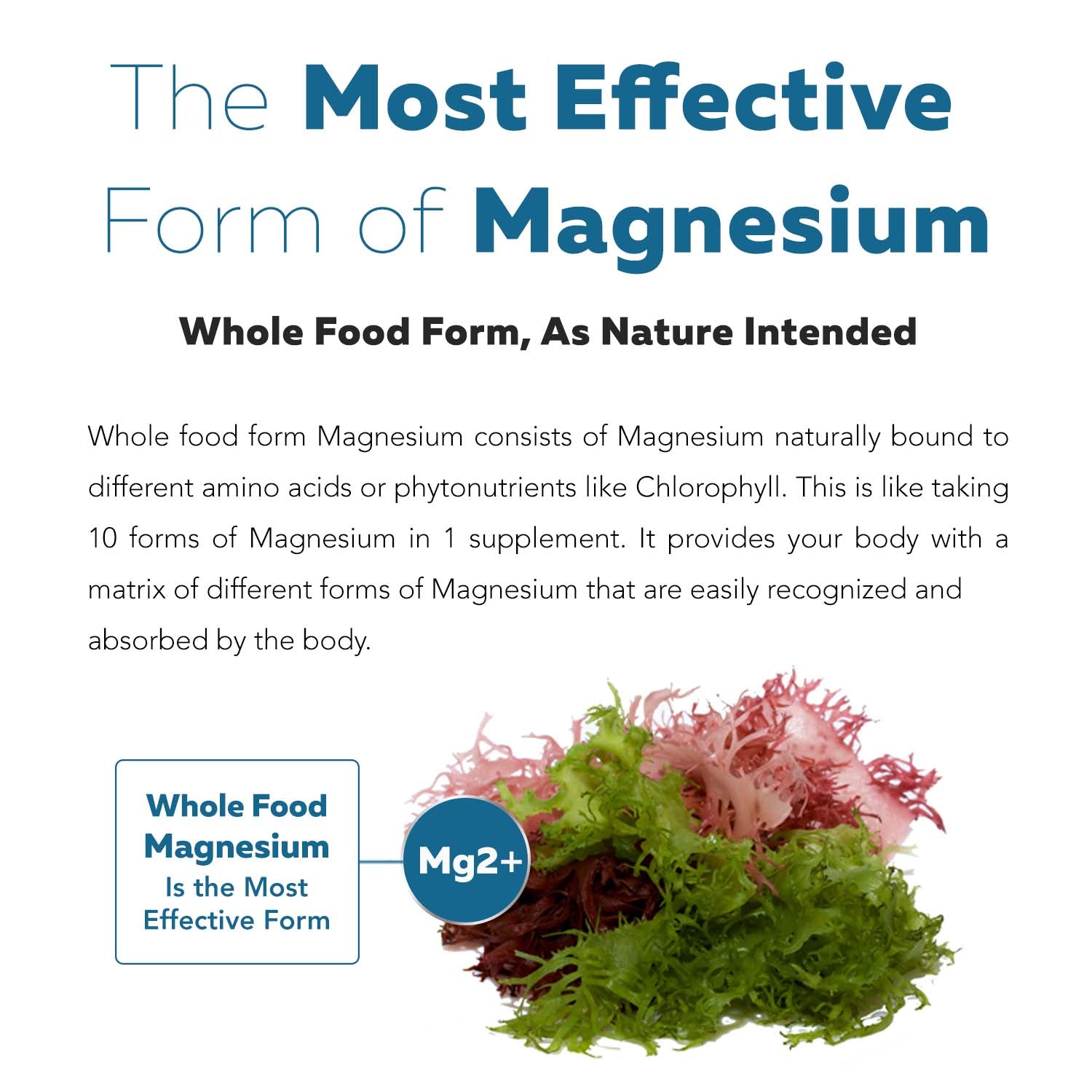 Plant Magnesium: Organic, Whole Food Magnesium Supplement