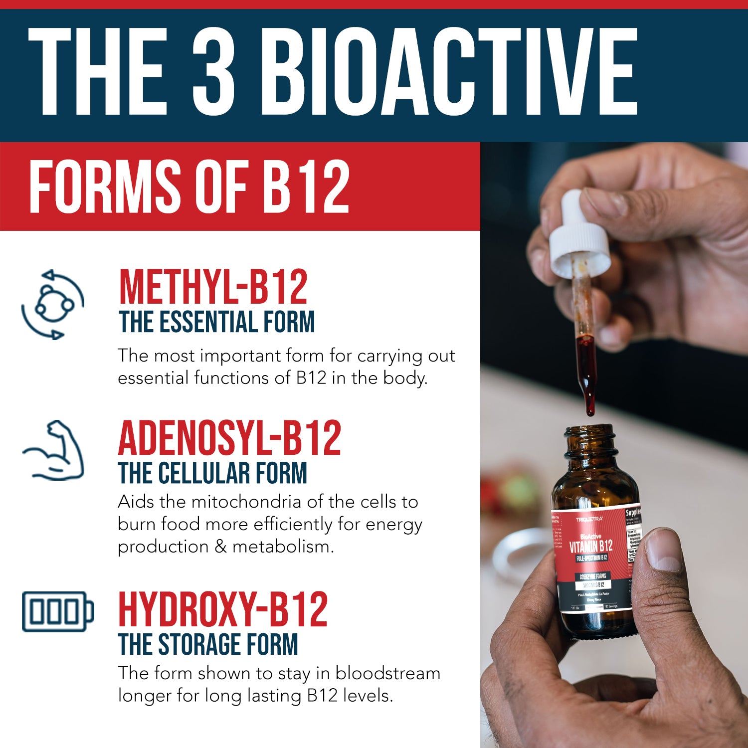 BioActive B12 (1000 mcg) Liquid: Vitamin B12 Plus L-Methylfolate