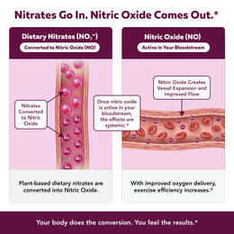 Nitrate-IQ™ Powder