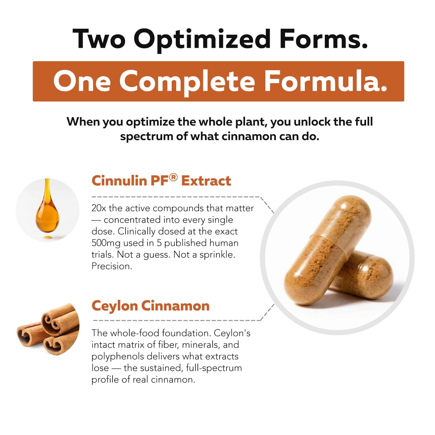 SoActive Cinnamon