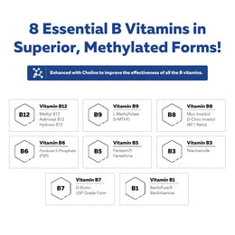 BioActive Vitamin B Complex Liquid (8 oz)