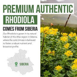 Siberian Rhodiola (Rhodiola Rosea Extract)