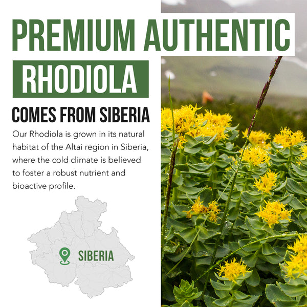 Siberian Rhodiola (Rhodiola Rosea Extract)