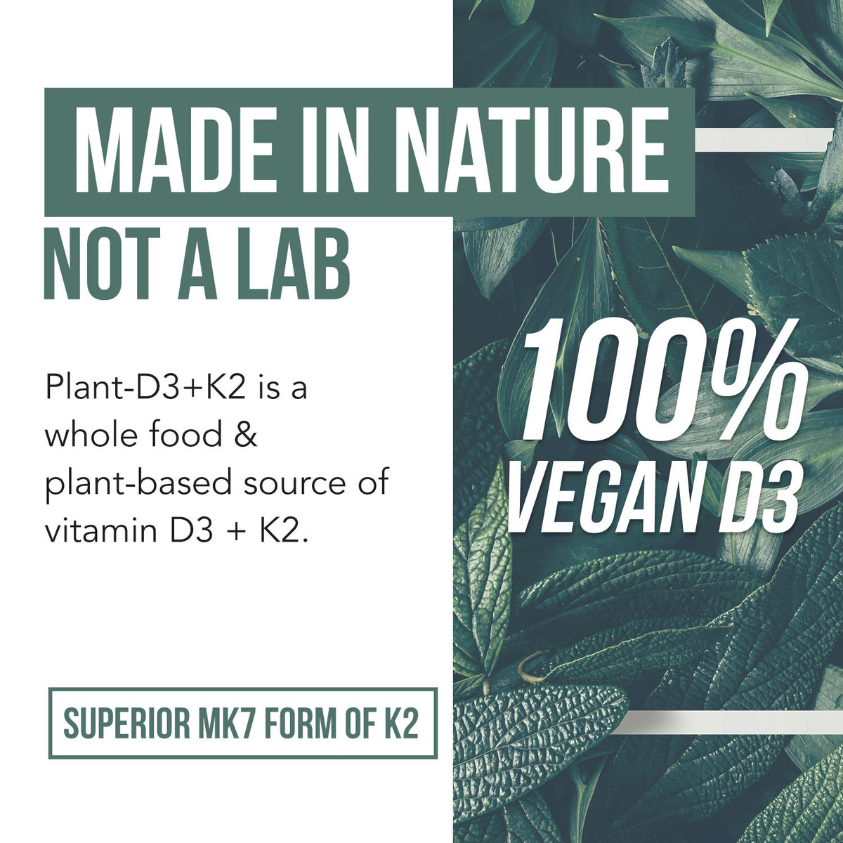Organic Plant-D3 + K2 5000 IU Capsules