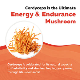 MycoMax Cordyceps Mushroom Extract Capsules - 70% Beta Glucans