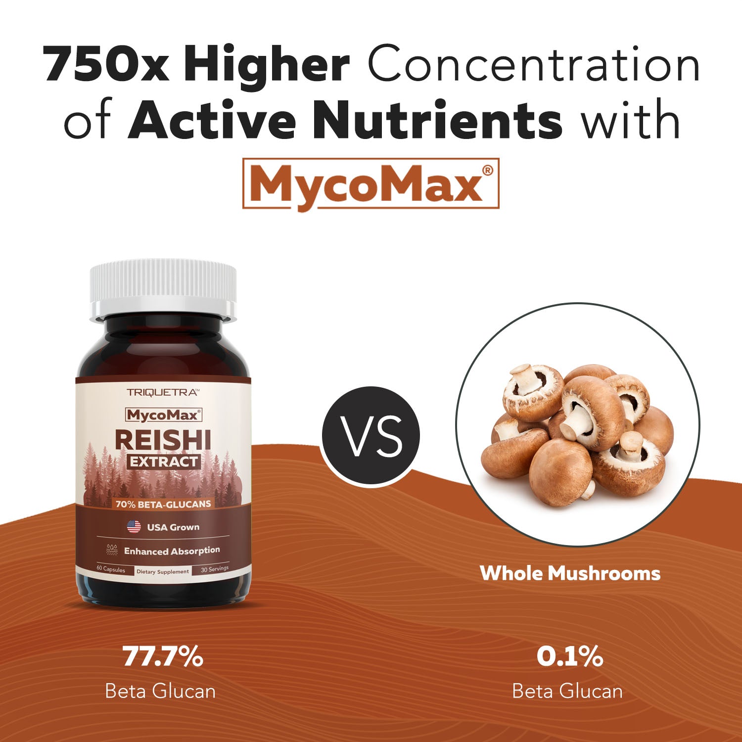 MycoMax Reishi Mushroom Extract Capsules - 70% Beta Glucans