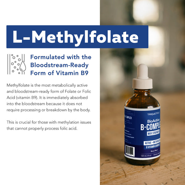 BioActive Vitamin B Complex Liquid