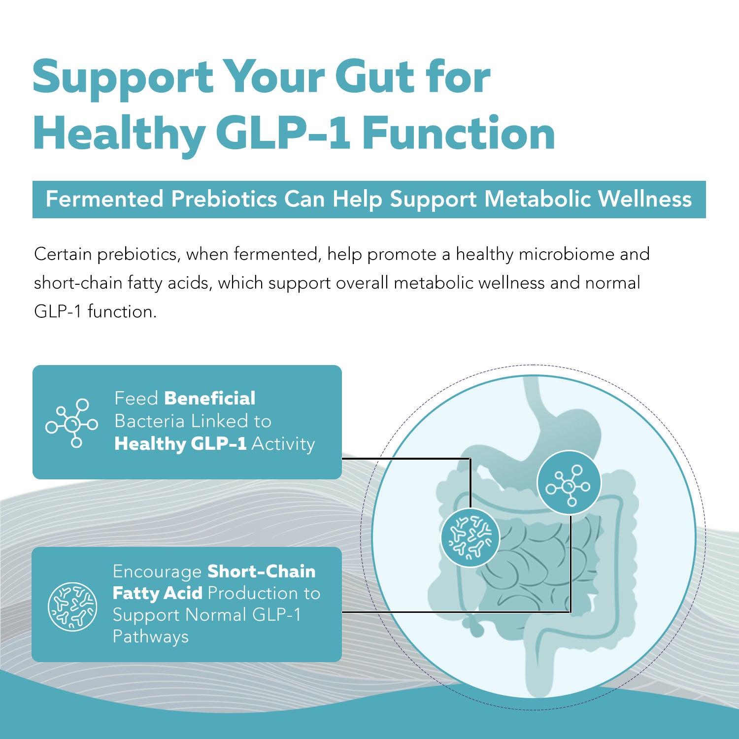 GLP-Pre: GLP-1 Prebiotic Fiber Complex*