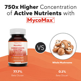 MycoMax Cordyceps Mushroom Extract Capsules - 70% Beta Glucans