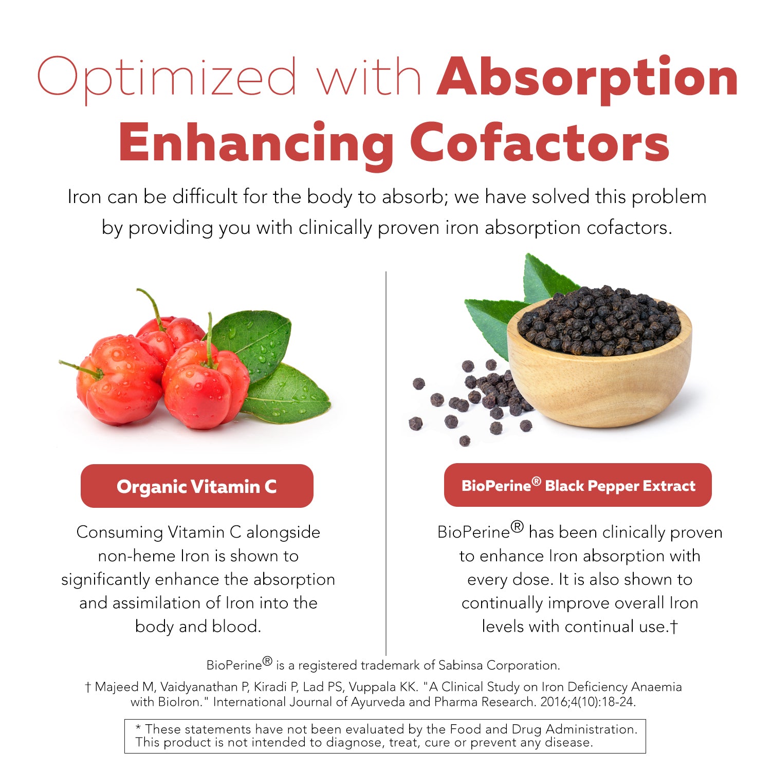 Organic Iron | Whole Food Iron Supplement & Cofactors