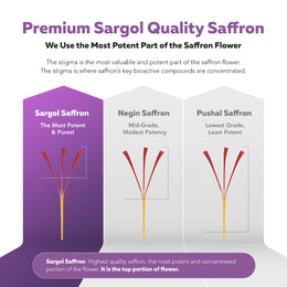SaffronRX: Saffron Extract