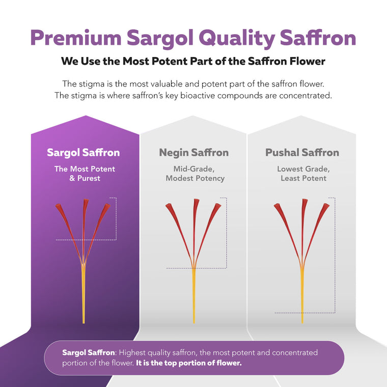 SaffronRX: Saffron Extract