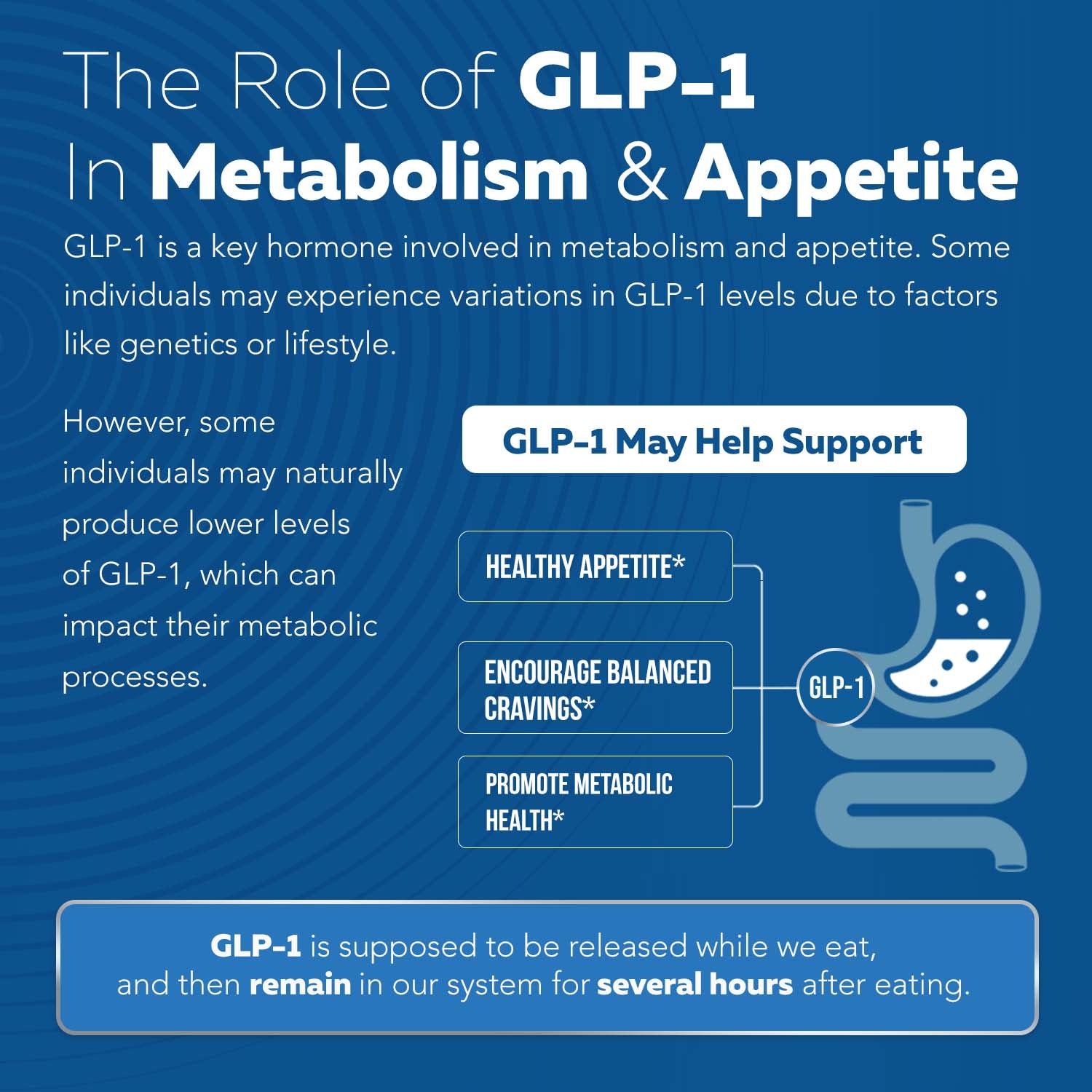 A branded supplement concept for holistic GLP-1 support featuring an image associated with metabolic health