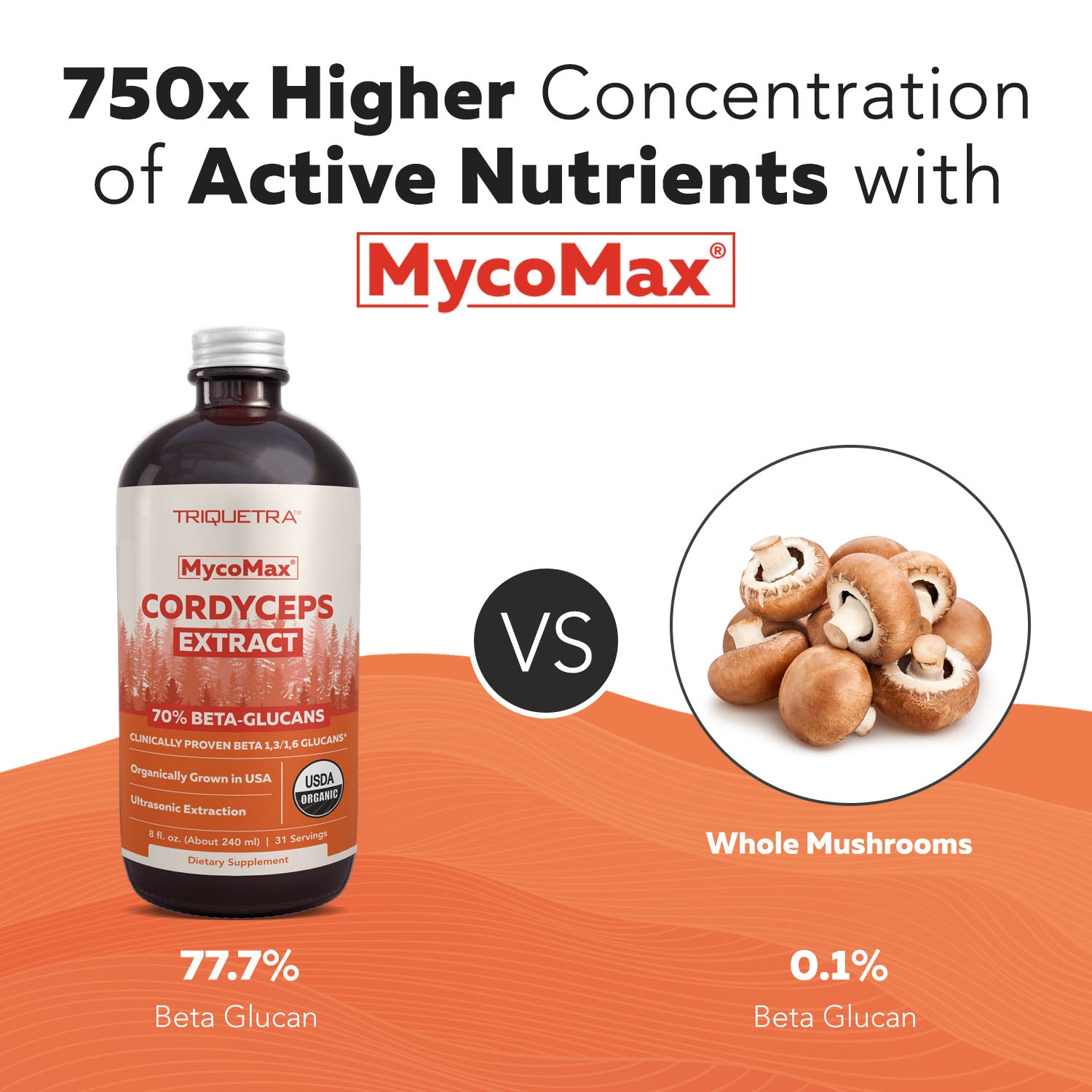 MycoMax Cordyceps Mushroom Extract - 70% Beta Glucans