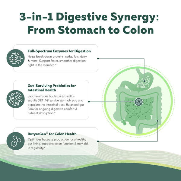 Flora Digest – Digestive Enzymes Plus Probiotics