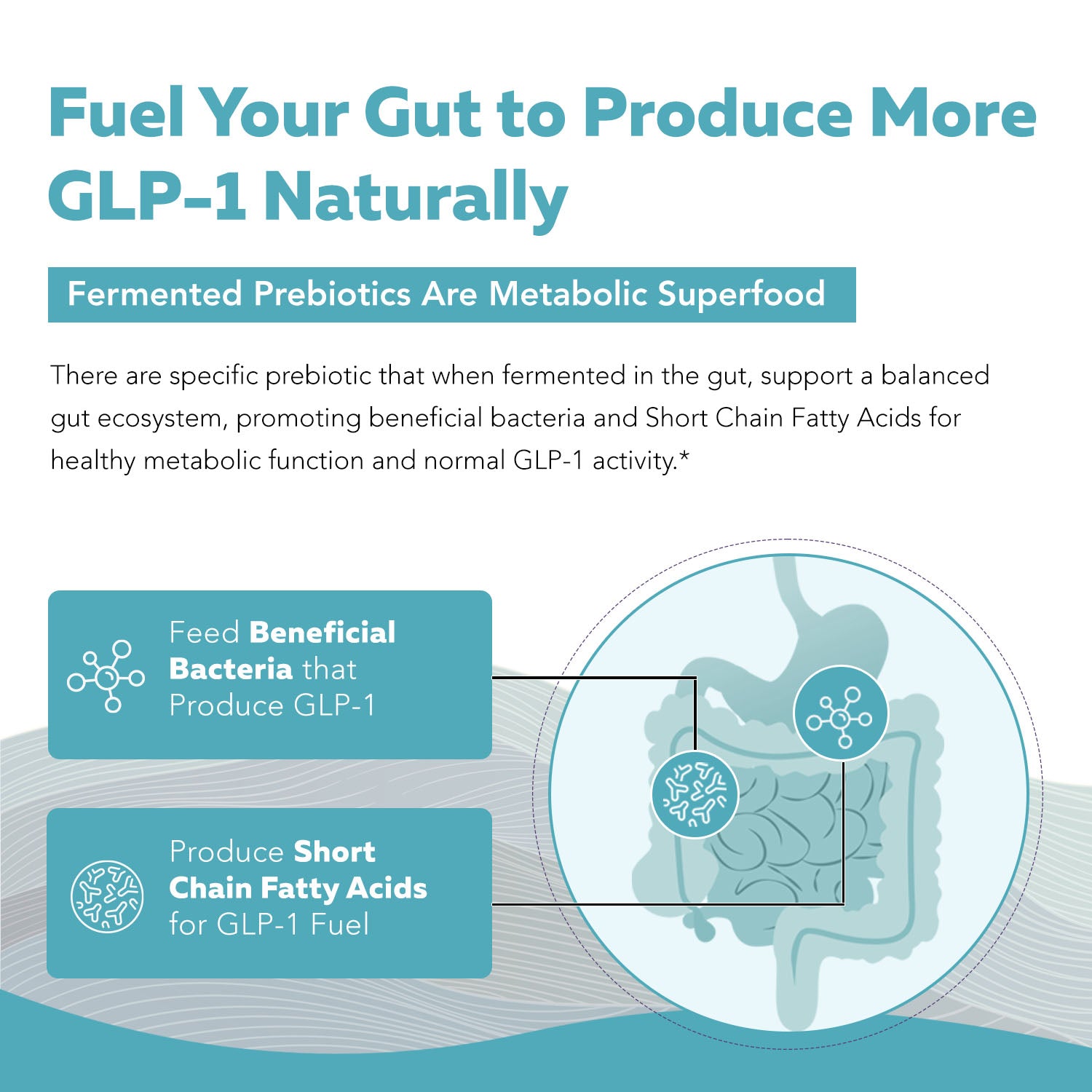 GLP-Pre: GLP-1 Prebiotic Fiber Complex*