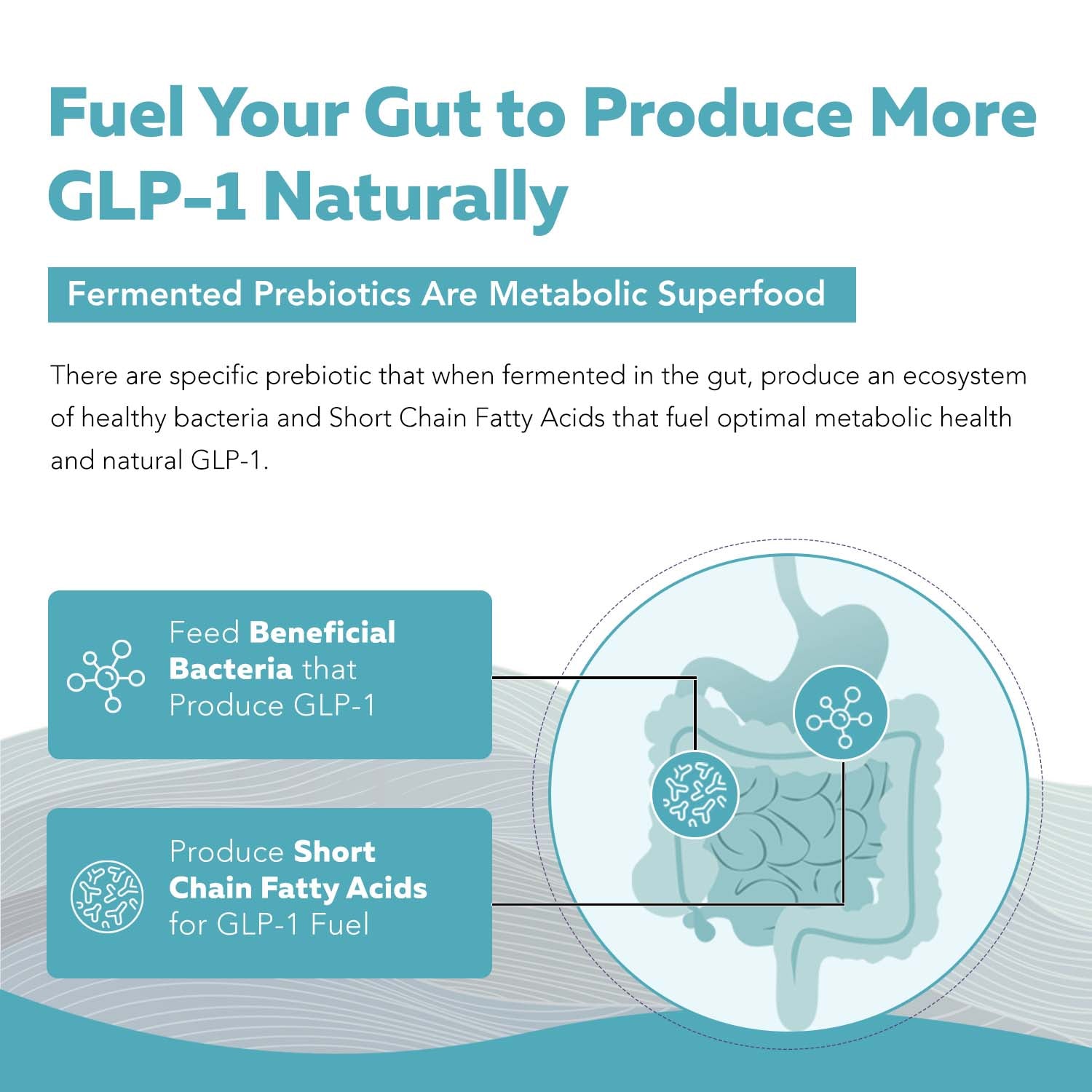 GLP-Pre: GLP-1 Prebiotic Fiber Complex*