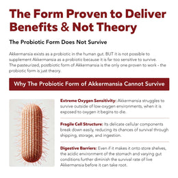 AK-Postbio: Akkermansia Probiotic 30 Billion TFU