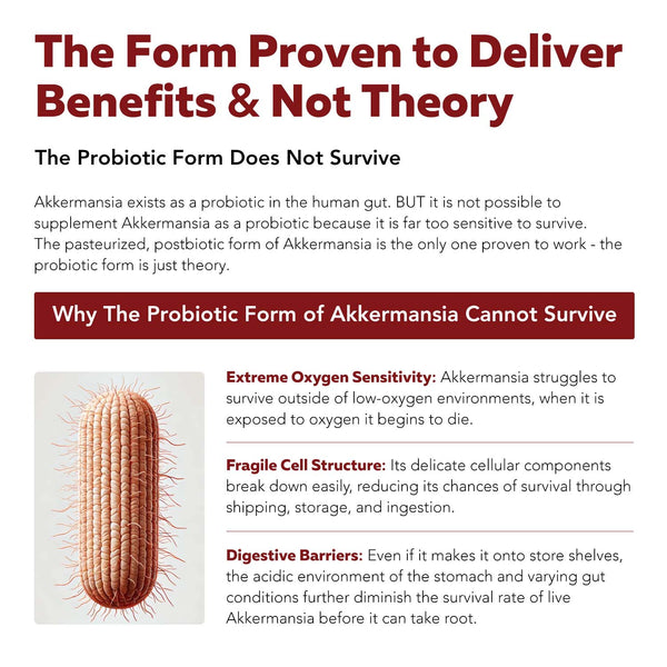 AK-Postbio: Akkermansia Probiotic 30 Billion TFU