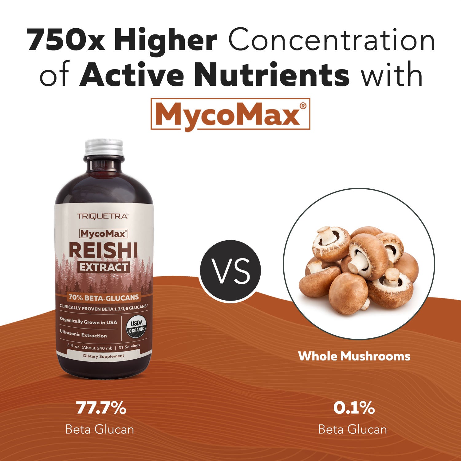 MycoMax Reishi Mushroom Extract - 70% Beta Glucans – Triquetra™