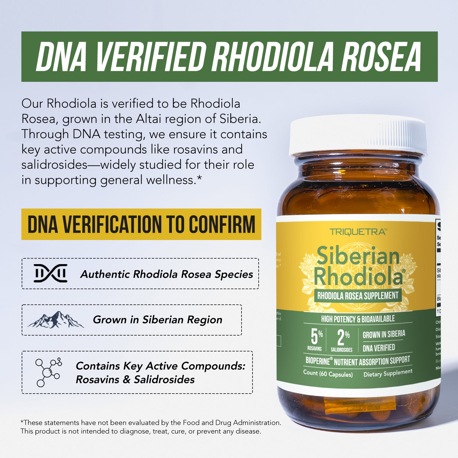 Siberian Rhodiola (Rhodiola Rosea Extract)