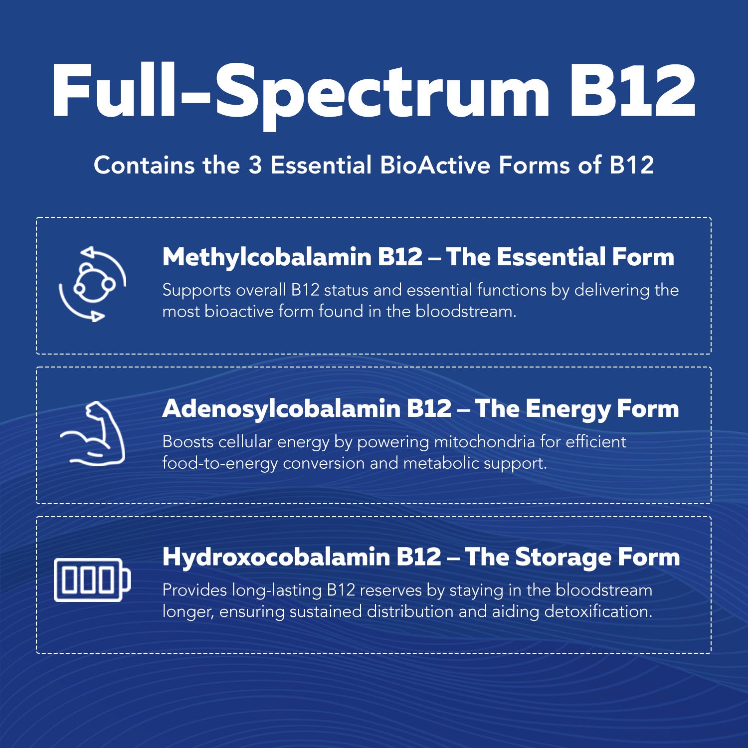 BioActive Vitamin B Complex Liquid