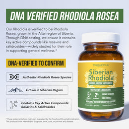 Siberian Rhodiola (Rhodiola Rosea Extract)