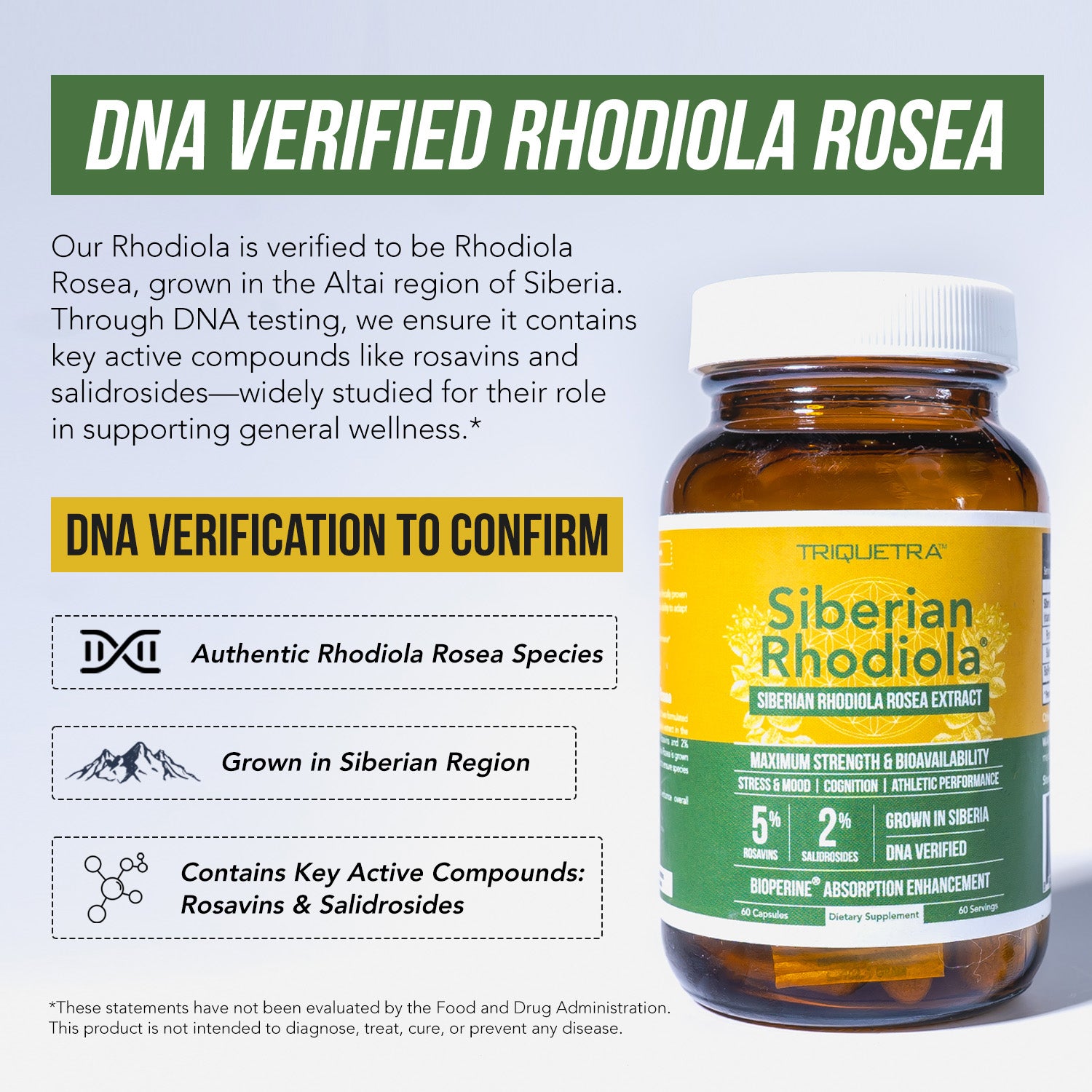 Siberian Rhodiola (Rhodiola Rosea Extract)