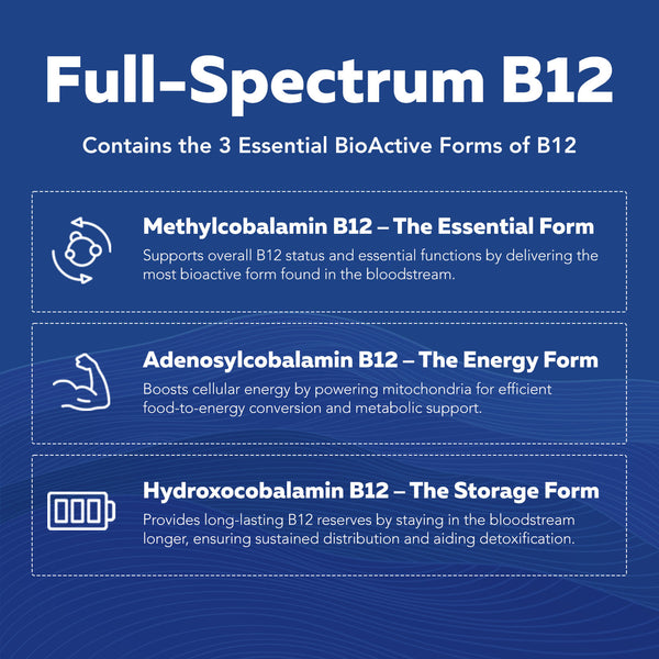 BioActive Vitamin B Complex Liquid
