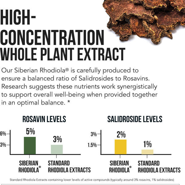 Siberian Rhodiola (Rhodiola Rosea Extract)