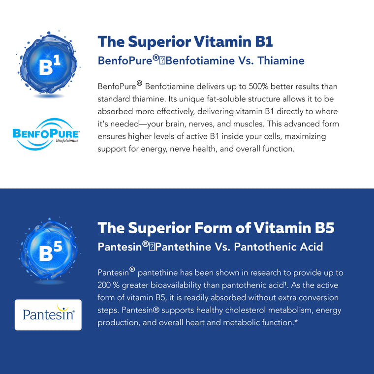 BioActive Vitamin B Complex