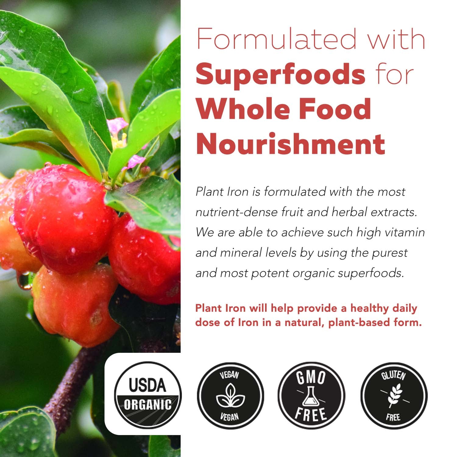 Organic Iron | Whole Food Iron Supplement & Cofactors