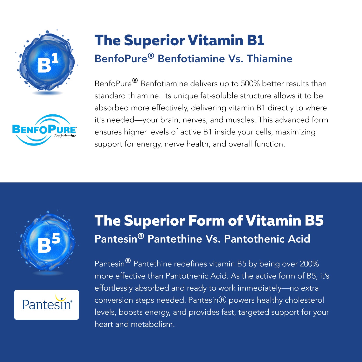 BioActive Vitamin B Complex