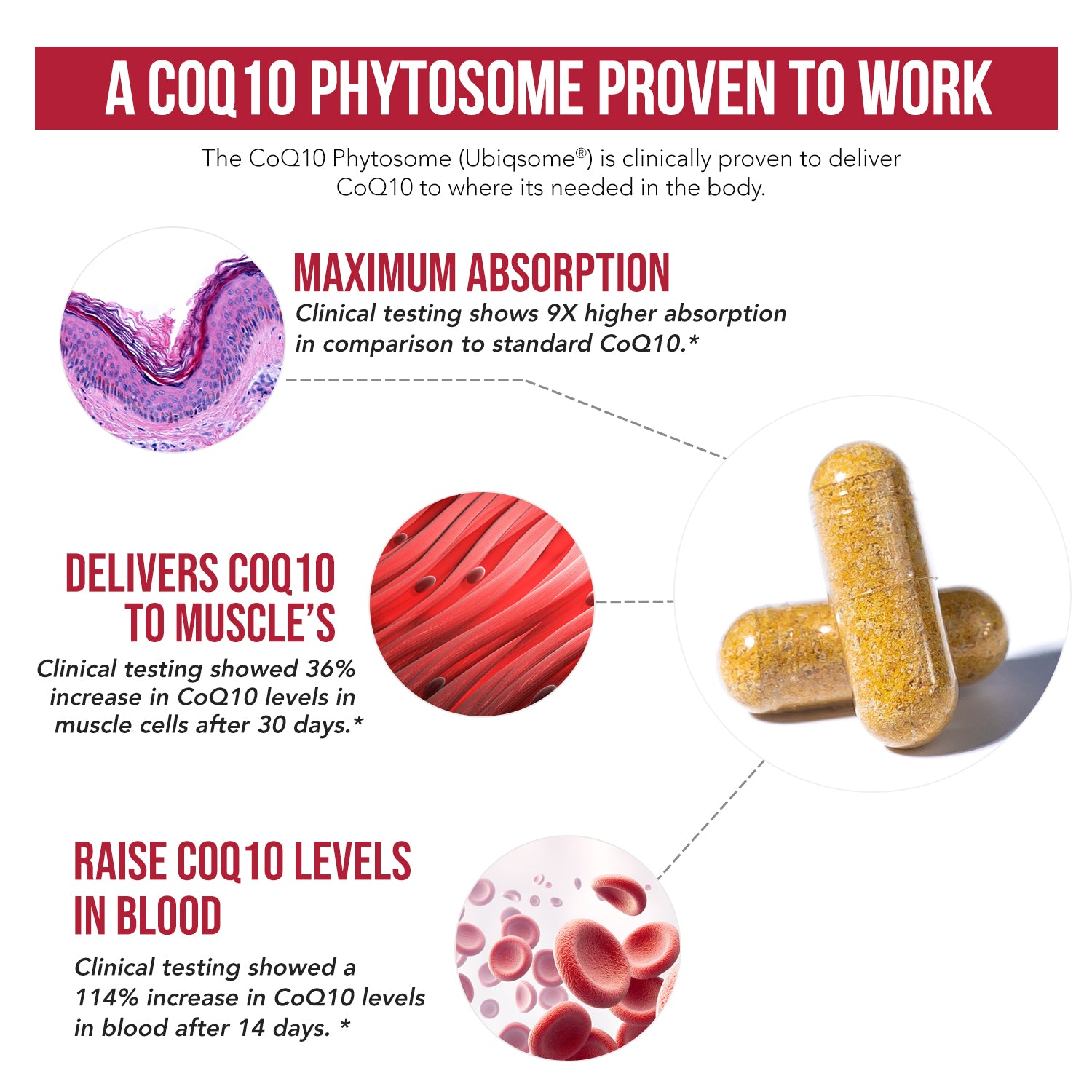 SoActive CoQ10